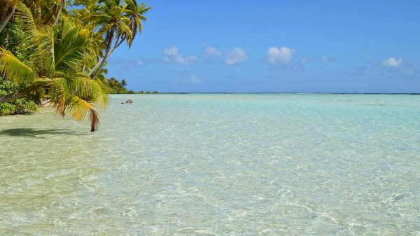 Réussir sa première mini croisière : le guide