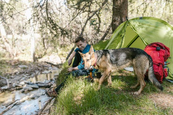 Camping sur l'île d'oléron : confort et nature réunis